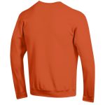 Anaheim Ducks Champion Sweatshirt